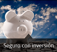 Seguros Inversion